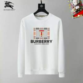 Picture of Burberry Sweatshirt _SKUBurberryM-3XL25tr21830773